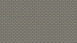 Vinyltapete Trendwall 2 Ornamente Klassisch Gold 583