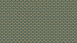 Vinyltapete Trendwall 2 Ornamente Klassisch Grün 585