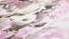 Vinyltapete Trendwall 2 Blumen & Natur Modern Rosa 81