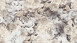 Vinyltapete Trendwall 2 Blumen & Natur Modern Grau 83