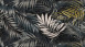 Vinyltapete The Wall Blumen & Natur Vintage Schwarz 381