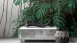 Vinyltapete The Wall Blumen & Natur Vintage Grün 411