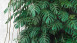 Vinyltapete The Wall Blumen & Natur Vintage Grün 411