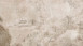 Vinyltapete The Wall Bilder Vintage Beige 471