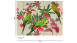 Vinyltapete The Wall Blumen & Natur Vintage Grün 541