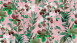 Vinyltapete The Wall Blumen & Natur Vintage Grün 731