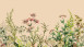 Vinyltapete The Wall Blumen & Natur Klassisch Beige 771
