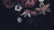 Vinyltapete The Wall Blumen & Natur Modern Schwarz 791