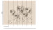 Vinyltapete The Wall Bilder Modern Beige 931