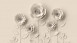 Vinyltapete The Wall Bilder Modern Beige 931