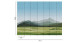 Vinyltapete The Wall Bilder Klassisch Grün 981