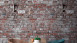 Vinyltapete The Wall Steine Klassisch Rot 371