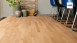 Haro Parkett Serie 4000 Buche gedämpft Trend (523789)