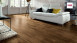 Haro Parkett Serie 4000 Amerik. Nussbaum Exquisit/Trend (523812)