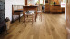 Haro Parkett Serie 4000 Eiche Sauvage 2V Landhausdiele (524634)
