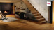 Haro Parkett Serie 4000 Bernsteineiche Markant 4V Landhausdiele (528678)