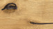 Haro Parkett parkettmanufaktur Ureiche strukturiert 4V Landhausdiele (529067)