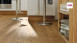 Haro Parkett Serie 4000 Eiche Exklusiv strukturiert 4V Landhausdiele (531677)