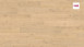 Haro Laminat Tritty 100 Eiche Portland puro authentic V4 Landhausdiele (533122)