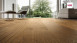 Haro Parkett Plaza 4000 Bernsteineiche Universal 4V (533499)