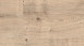 MEISTER Laminat - Classic LC 150 Eiche cappuccino 1-Stab 6263