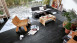 MEISTER Designboden - MeisterDesign DB 500 S Black Lava 7323
