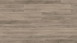 KWG Klebevinyl - Antigua Professional Graueiche (790004)