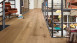 planeo Parkett - Edelholz Eiche Urban | Made in Germany (EDP-8948)