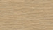 KWG Klick Vinyl Multilayer - Antigua Classic Hydrotec Birke gekalkt (520037)