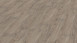 KWG Klick Vinyl Multilayer - Antigua Infinity Sibirische Ulme (900303)