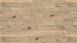 KWG Klebevinyl - Antigua Infinity Royaleiche (930150)