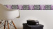 SK Folietapete Only Borders 11 Blumen & Natur Modern Schwarz 910