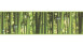 SK Folietapete Only Borders 11 Bilder Modern Grün 617