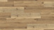 KWG Klick Vinyl Multilayer - Antigua Novel Asteiche (910013)