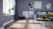 planeo Klick Vinyl - Objekt Plus Golden Oak Honey (STA-96711)