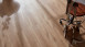 planeo Klick Vinyl - Objekt Markham Oak Light (STA-725110)