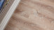 planeo Objekt Plus - Smoky Oak Gold Klick-Vinyl