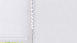 planeo Rollo 25mm TL Screen - Weiss
