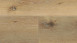 Wineo Klebevinyl - 800 wood XL Corn Rustic Oak (DB00064)