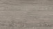 Wineo Klebevinyl - 800 wood XL Lund Dusty Oak (DB00065)