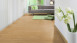 Vinylboden Klebevinyl - Summer Oak Golden