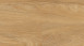 Vinylboden Klebevinyl - Summer Oak Golden