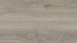 Vinylboden Klebevinyl - Memory Oak Silver
