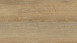 Wineo Klick-Vinyl - 400 wood XL Joy Oak Tender (DLC00126)