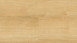 Wineo Klick-Vinyl - 800 wood Wheat Golden Oak (DLC00080)
