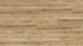 Wineo Klick-Vinyl - 800 wood XL Corn Rustic Oak (DLC00064)
