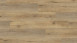 Wineo Klick-Vinyl - 400 wood XL Joy Oak Tender (DLC00126)
