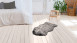 planeo Teppich - Tender 125 Anthrazit 