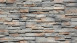 planeo StoneWall Solid Steinriemchen Dolomit