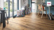 Haro Laminat Tritty 100 Silent Pro Eiche italica natur authentic 4V Landhausdiele (530336)